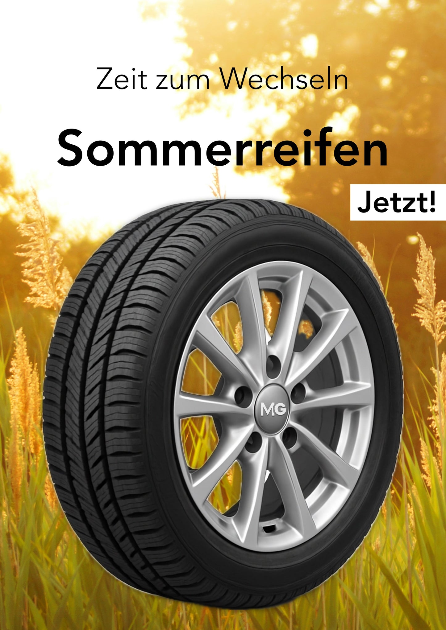 Reifenwechsel Winter & Sommer — MediaGalaxy Pro