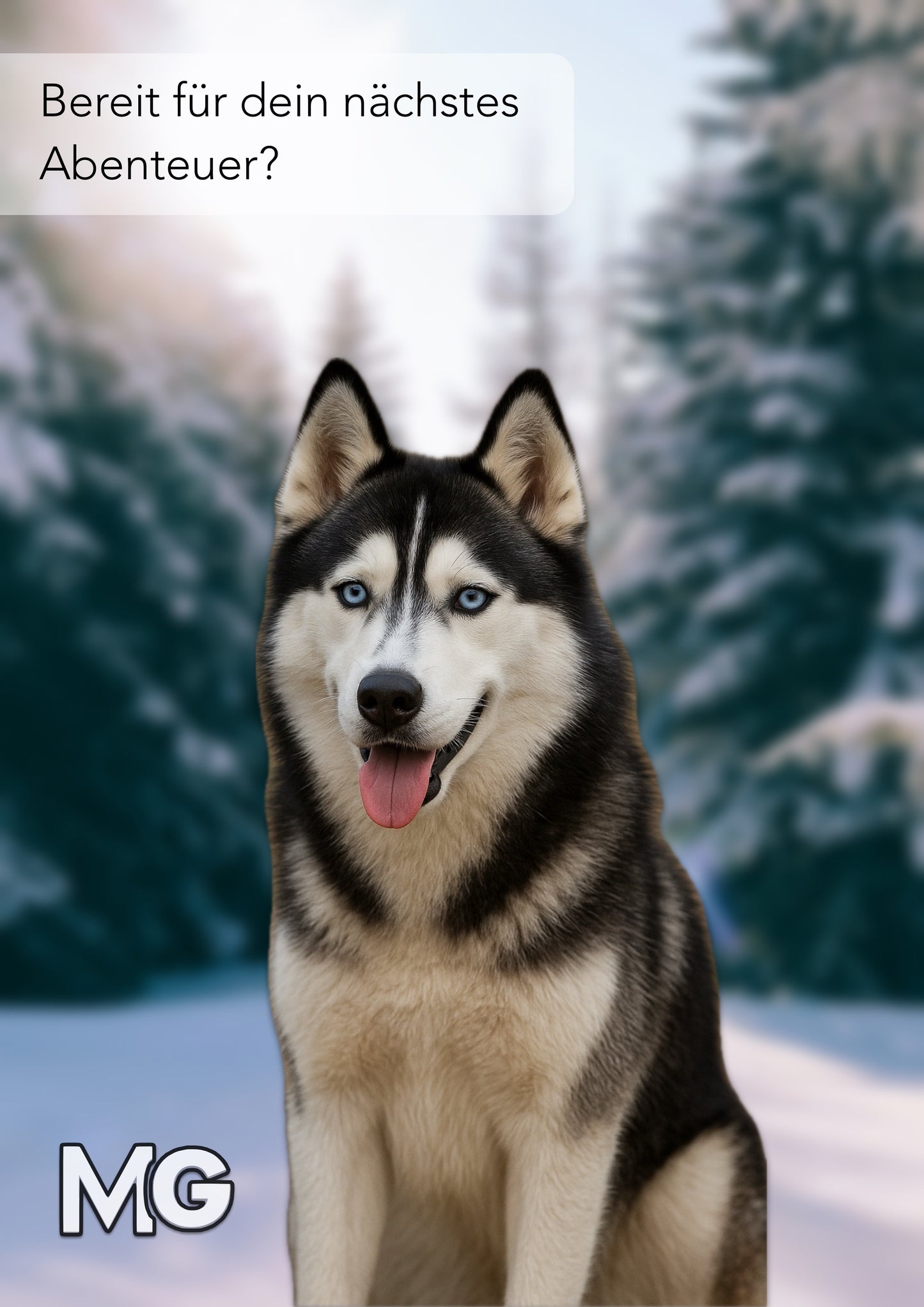 KI Husky — Herzensfreunde auf vier Pfoten